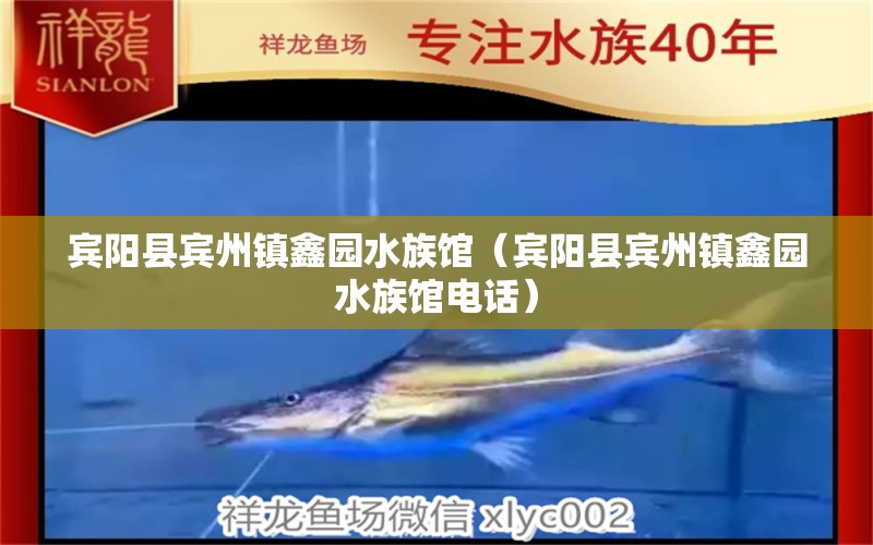 宾阳县宾州镇鑫园水族馆（宾阳县宾州镇鑫园水族馆电话） 全国水族馆企业名录