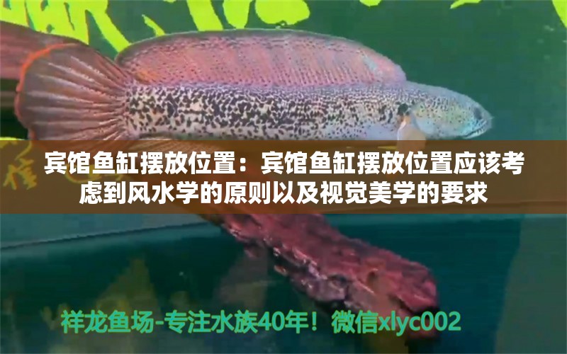 宾馆鱼缸摆放位置：宾馆鱼缸摆放位置应该考虑到风水学的原则以及视觉美学的要求 鱼缸百科 第2张