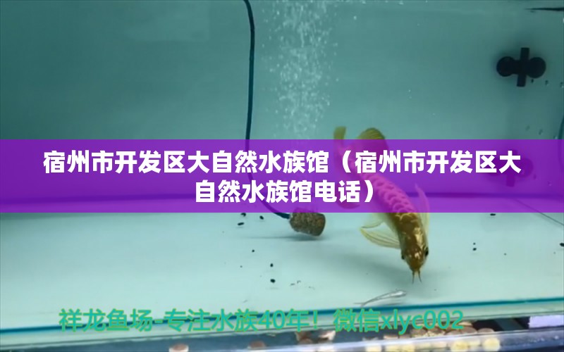 宿州市开发区大自然水族馆（宿州市开发区大自然水族馆电话） 全国水族馆企业名录