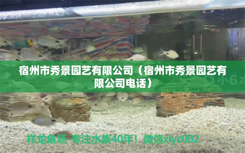 宿州市秀景园艺有限公司（宿州市秀景园艺有限公司电话） 全国水族馆企业名录