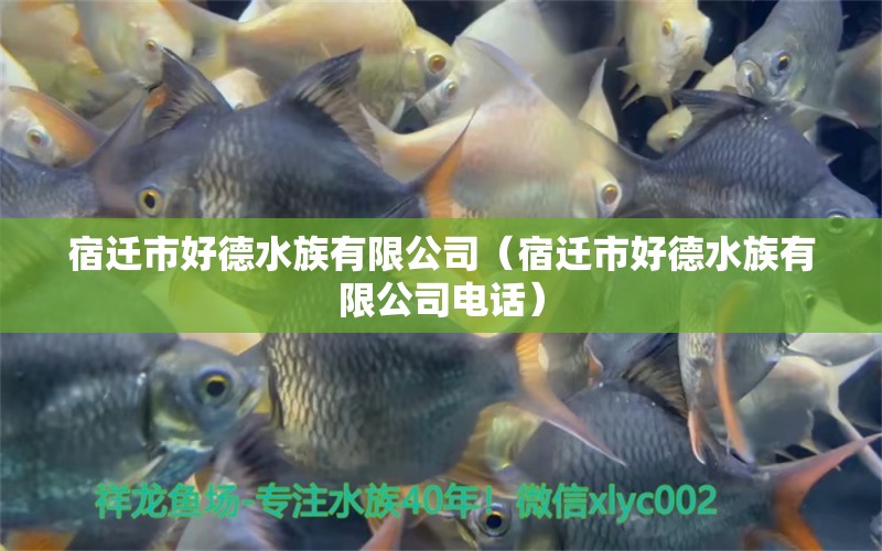 宿迁市好德水族有限公司（宿迁市好德水族有限公司电话） 全国水族馆企业名录