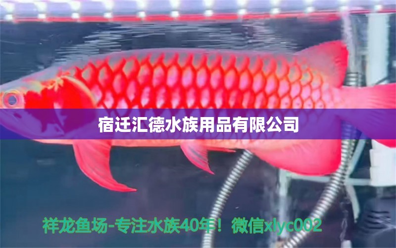 宿迁汇德水族用品有限公司