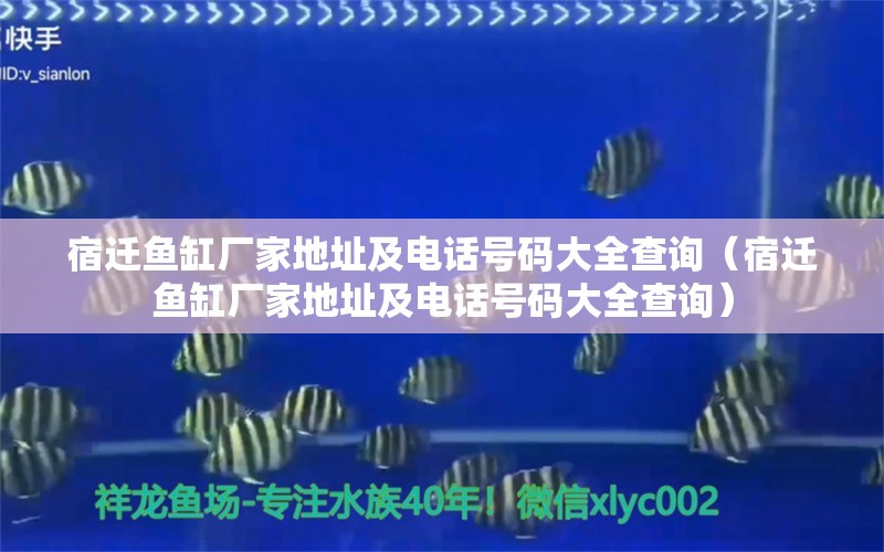 宿迁鱼缸厂家地址及电话号码大全查询（宿迁鱼缸厂家地址及电话号码大全查询） 海象鱼