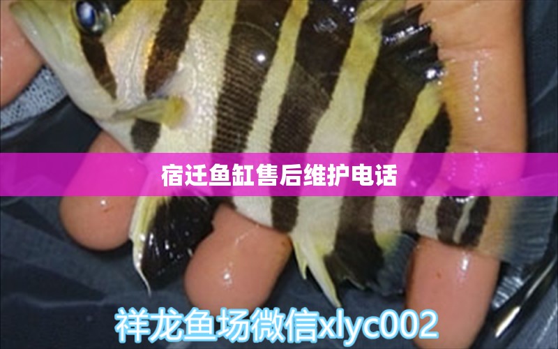 宿迁鱼缸售后维护电话 其他品牌鱼缸