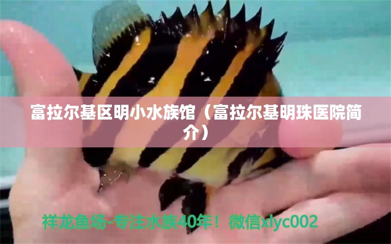 富拉尔基区明小水族馆（富拉尔基明珠医院简介）