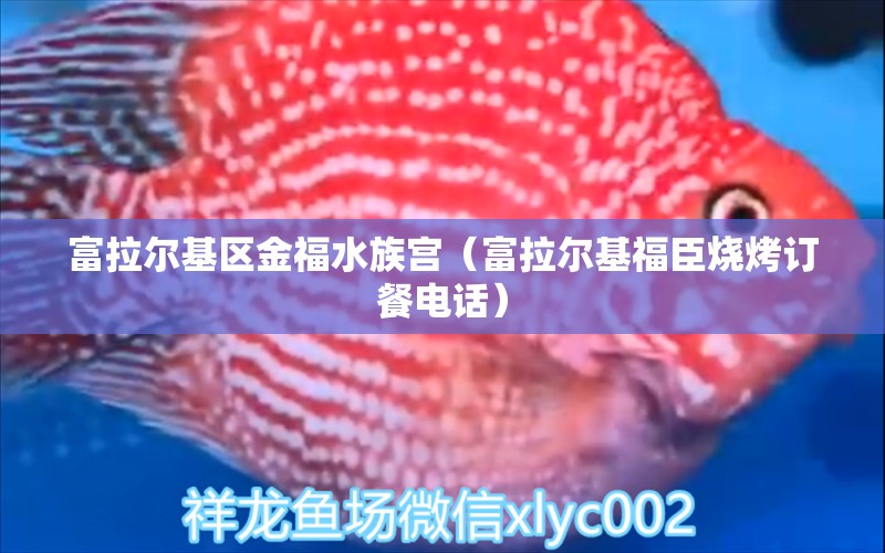 富拉尔基区金福水族宫（富拉尔基福臣烧烤订餐电话）