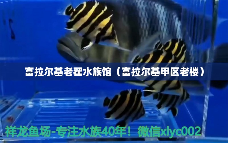 富拉尔基老翟水族馆（富拉尔基甲区老楼） 全国水族馆企业名录