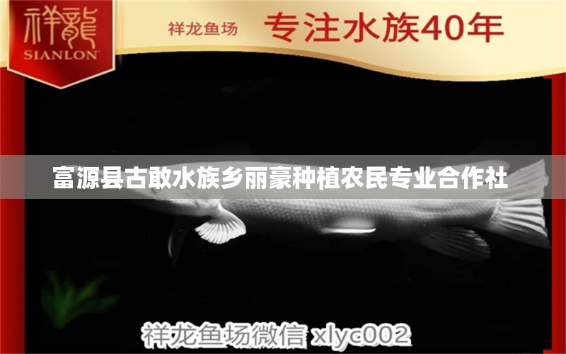 富源县古敢水族乡丽豪种植农民专业合作社  全国水族馆企业名录 第1张