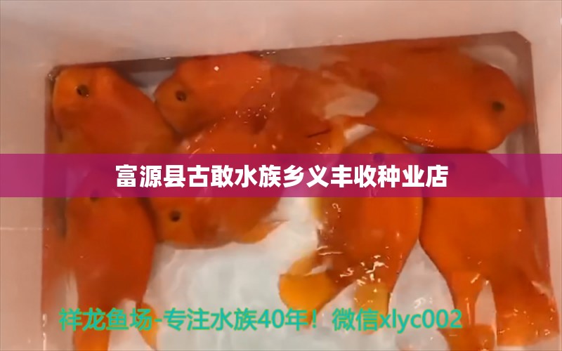 富源县古敢水族乡义丰收种业店