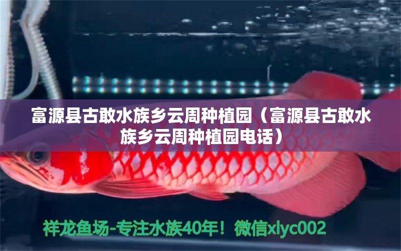 富源县古敢水族乡云周种植园（富源县古敢水族乡云周种植园电话）