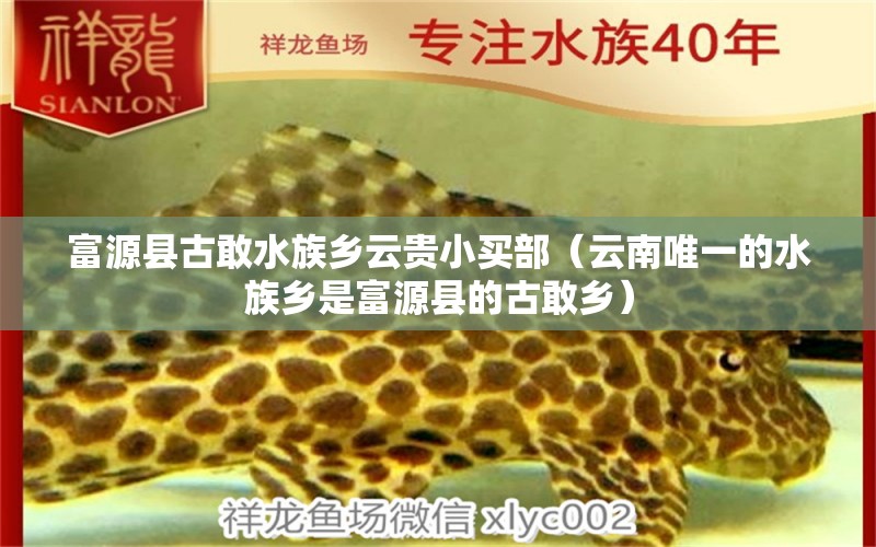 富源县古敢水族乡云贵小买部（云南唯一的水族乡是富源县的古敢乡）