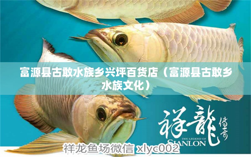 富源县古敢水族乡兴坪百货店（富源县古敢乡水族文化） 全国水族馆企业名录