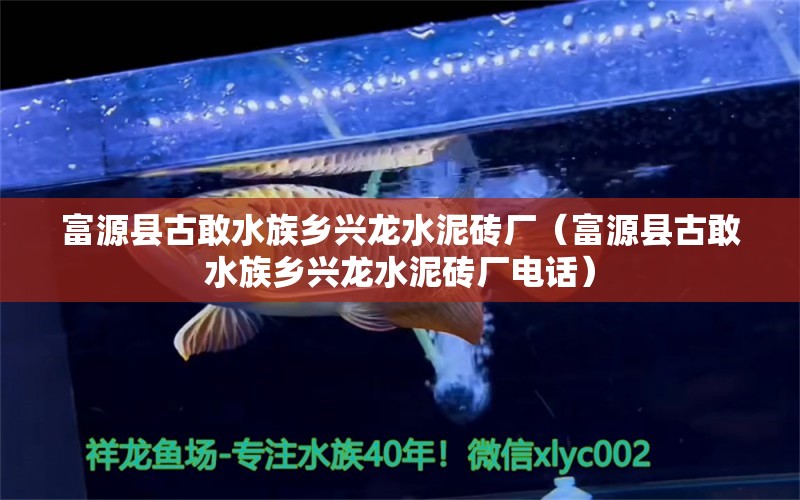 富源县古敢水族乡兴龙水泥砖厂（富源县古敢水族乡兴龙水泥砖厂电话）