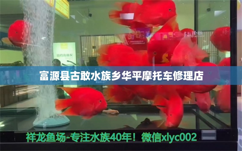 富源县古敢水族乡华平摩托车修理店 全国水族馆企业名录