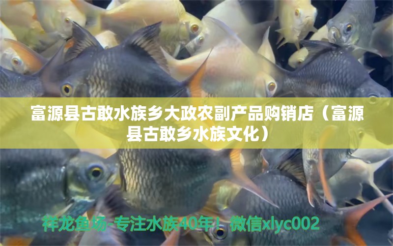 富源县古敢水族乡大政农副产品购销店（富源县古敢乡水族文化） 全国水族馆企业名录