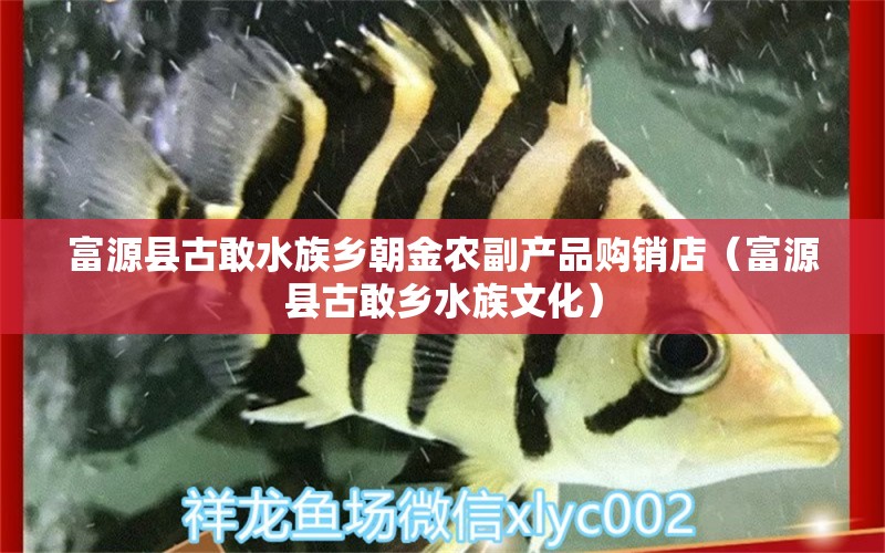 富源县古敢水族乡朝金农副产品购销店（富源县古敢乡水族文化） 全国水族馆企业名录