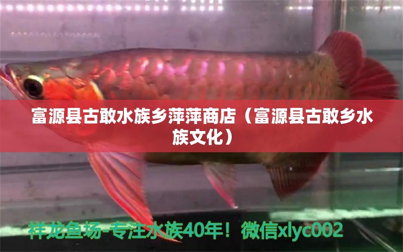 富源县古敢水族乡萍萍商店（富源县古敢乡水族文化）