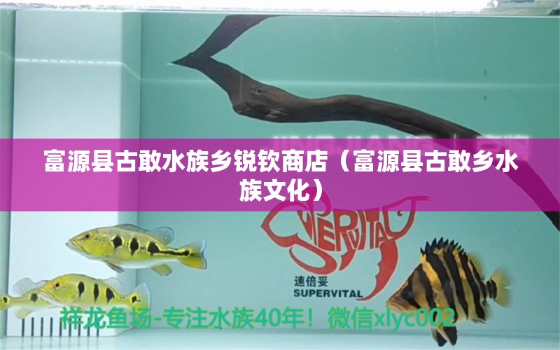 富源县古敢水族乡锐钦商店（富源县古敢乡水族文化）