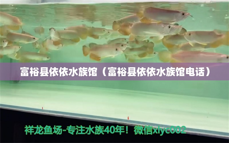 富裕县依依水族馆（富裕县依依水族馆电话）