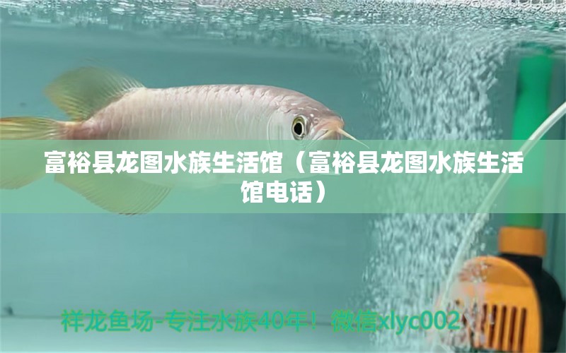 富裕县龙图水族生活馆（富裕县龙图水族生活馆电话） 全国水族馆企业名录