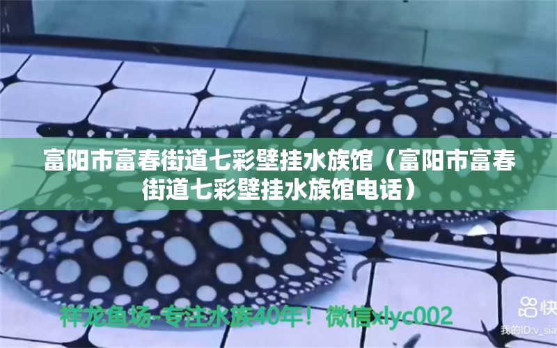 富阳市富春街道七彩壁挂水族馆（富阳市富春街道七彩壁挂水族馆电话） 全国水族馆企业名录