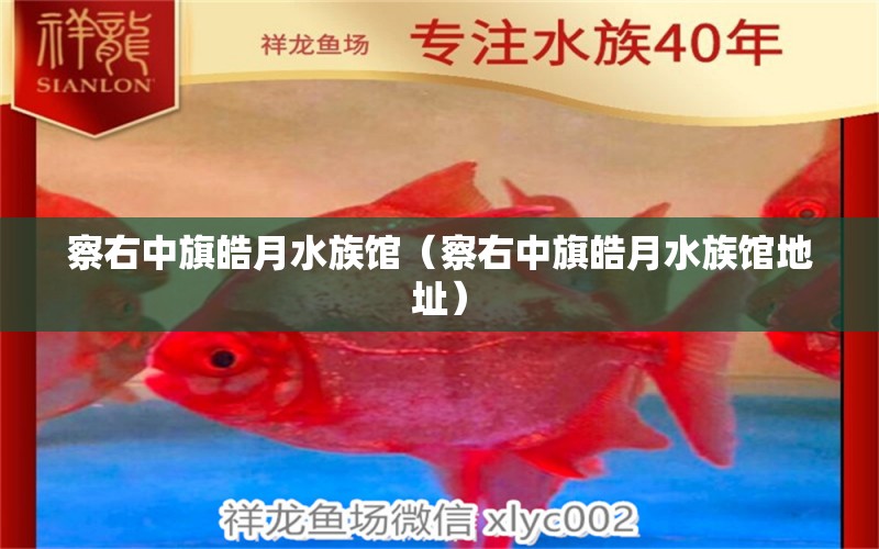 察右中旗皓月水族馆（察右中旗皓月水族馆地址） 全国水族馆企业名录