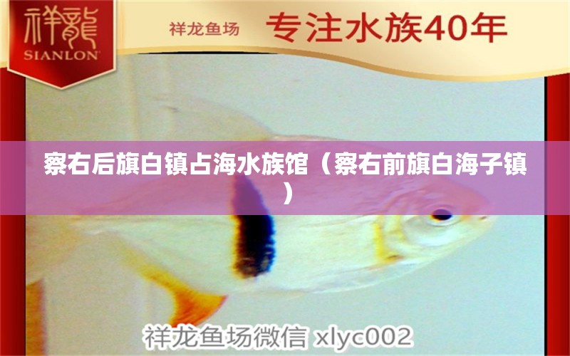 察右后旗白镇占海水族馆（察右前旗白海子镇）