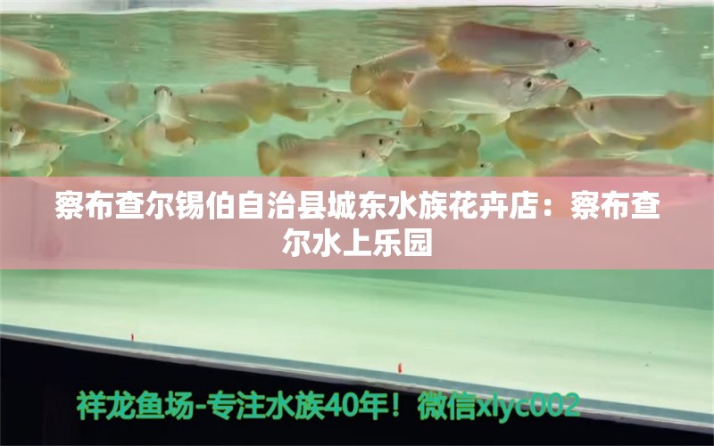 察布查尔锡伯自治县城东水族花卉店：察布查尔水上乐园