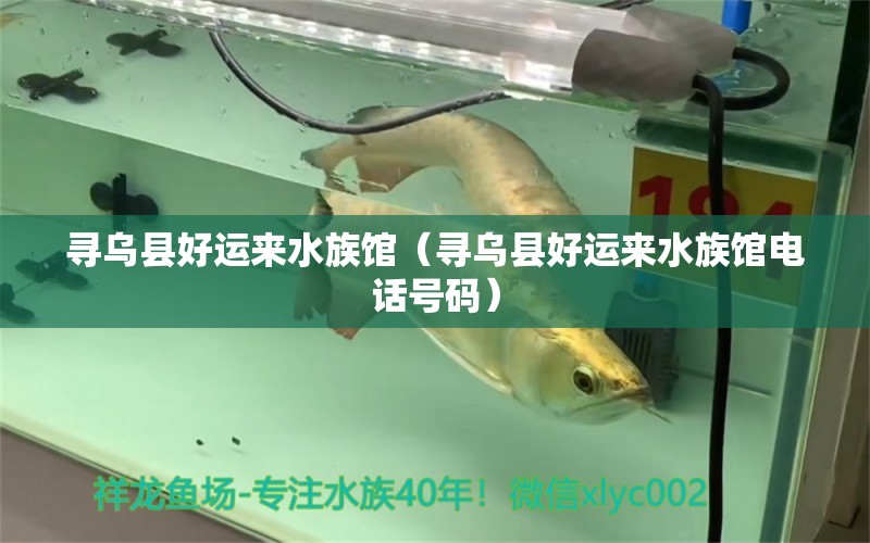 寻乌县好运来水族馆（寻乌县好运来水族馆电话号码）