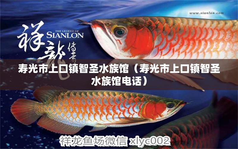 寿光市上口镇智圣水族馆（寿光市上口镇智圣水族馆电话） 全国水族馆企业名录