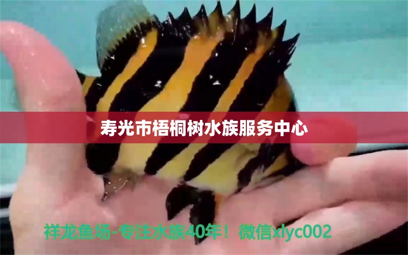 寿光市梧桐树水族服务中心