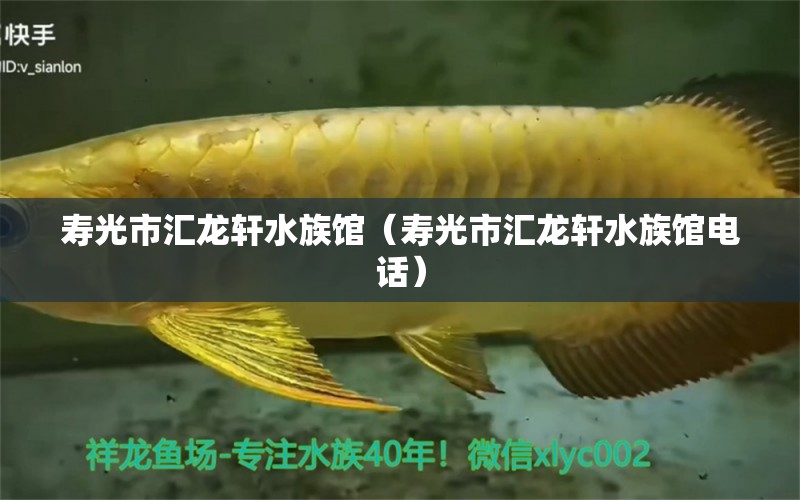 寿光市汇龙轩水族馆（寿光市汇龙轩水族馆电话）