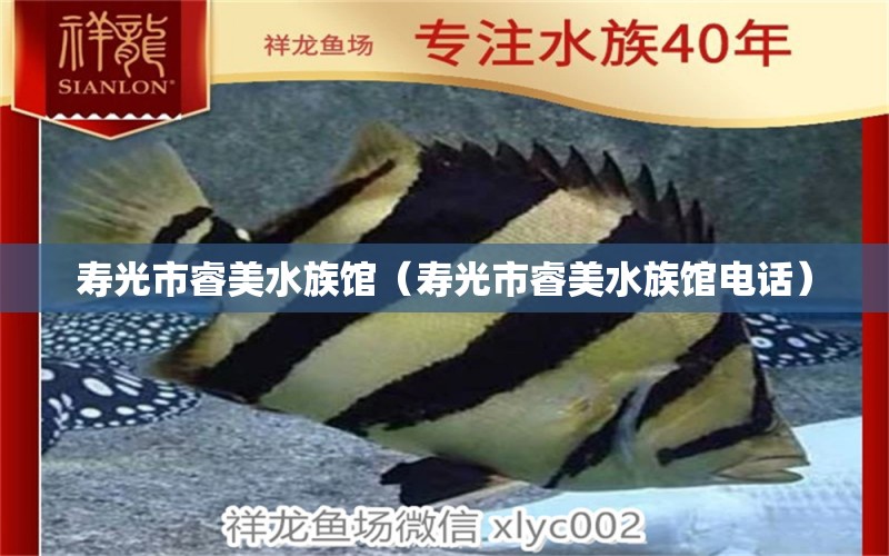 寿光市睿美水族馆（寿光市睿美水族馆电话）