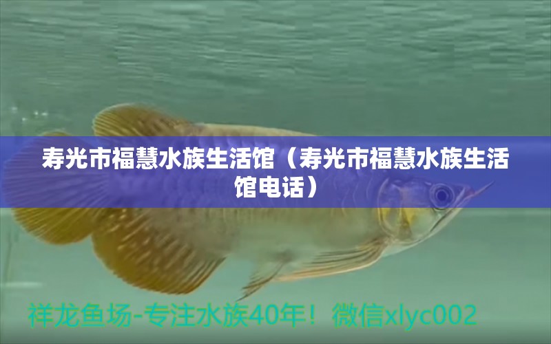 寿光市福慧水族生活馆（寿光市福慧水族生活馆电话） 全国水族馆企业名录