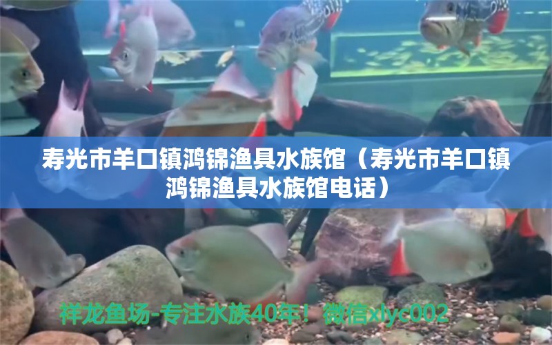 寿光市羊口镇鸿锦渔具水族馆（寿光市羊口镇鸿锦渔具水族馆电话） 全国水族馆企业名录