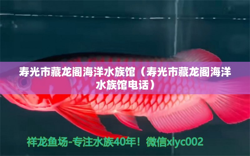 寿光市藏龙阁海洋水族馆（寿光市藏龙阁海洋水族馆电话）