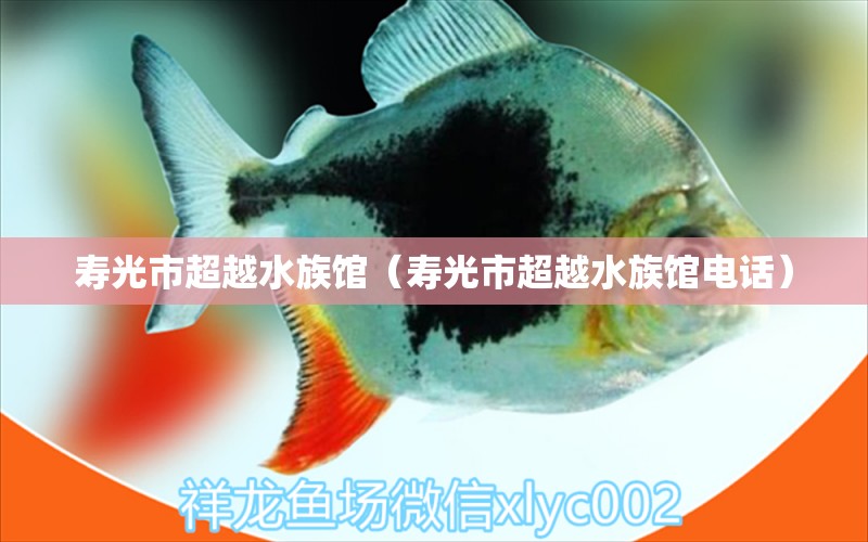 寿光市超越水族馆（寿光市超越水族馆电话）