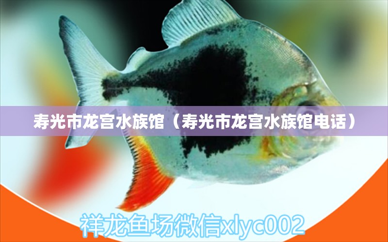 寿光市龙宫水族馆（寿光市龙宫水族馆电话） 全国水族馆企业名录