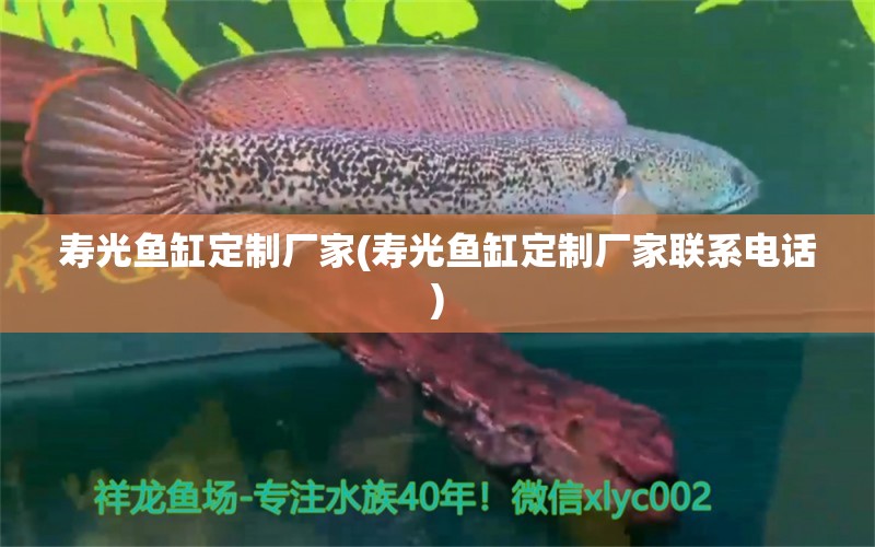 寿光鱼缸定制厂家(寿光鱼缸定制厂家联系电话)