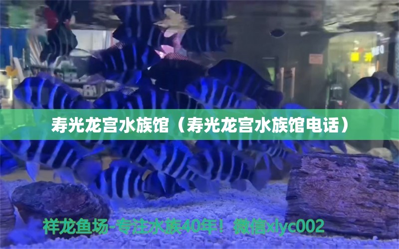 寿光龙宫水族馆（寿光龙宫水族馆电话）