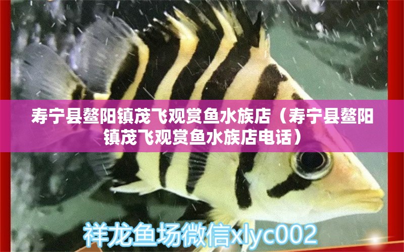 寿宁县鳌阳镇茂飞观赏鱼水族店（寿宁县鳌阳镇茂飞观赏鱼水族店电话）