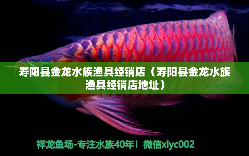 寿阳县金龙水族渔具经销店（寿阳县金龙水族渔具经销店地址）