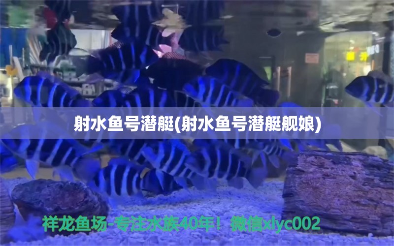 射水鱼号潜艇(射水鱼号潜艇舰娘)