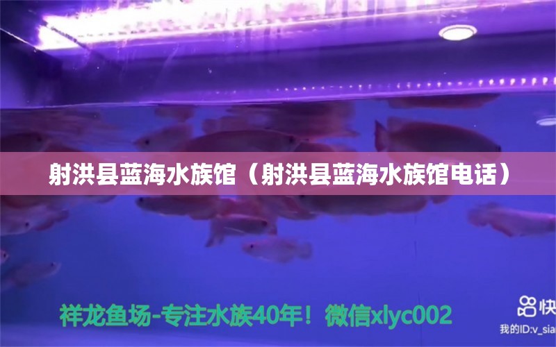 射洪县蓝海水族馆（射洪县蓝海水族馆电话）