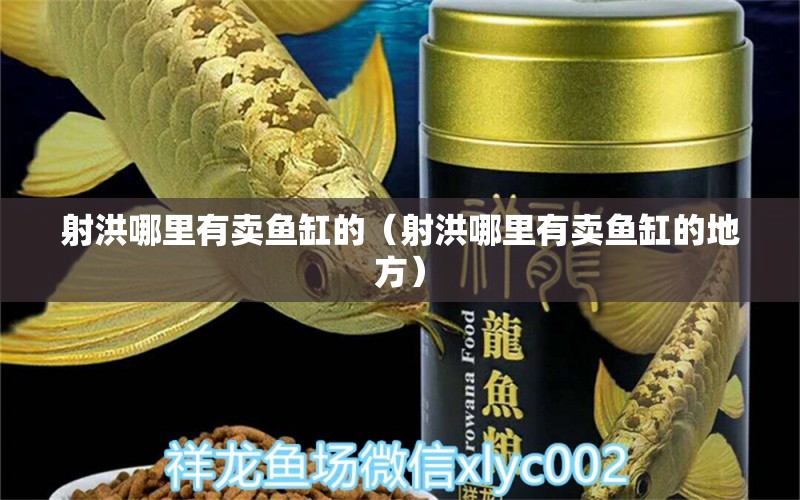 射洪哪里有卖鱼缸的（射洪哪里有卖鱼缸的地方） 祥龙水族医院