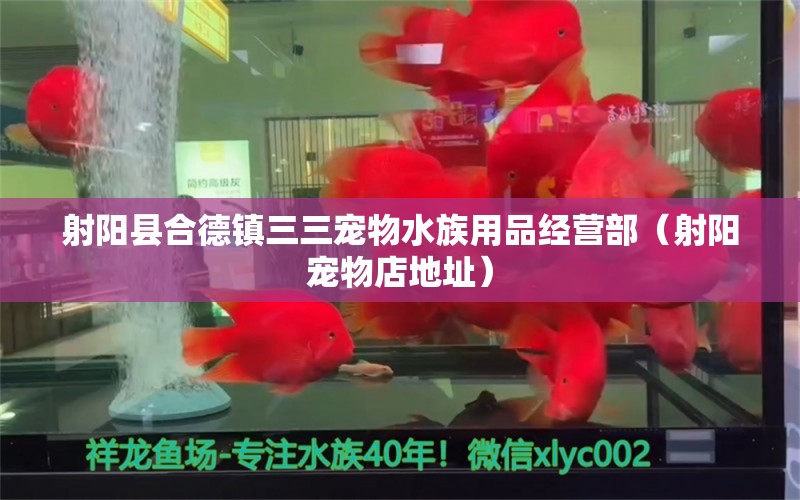 射阳县合德镇三三宠物水族用品经营部（射阳宠物店地址） 水族用品