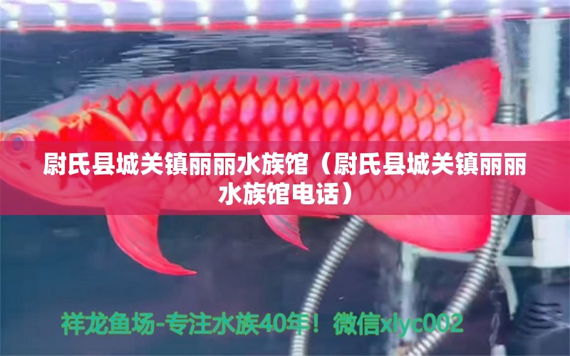 尉氏县城关镇丽丽水族馆（尉氏县城关镇丽丽水族馆电话）