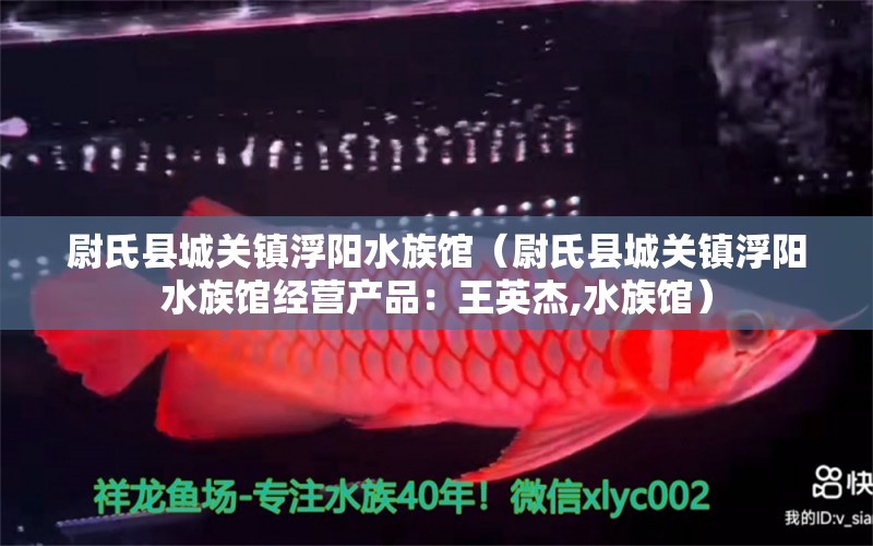 尉氏县城关镇浮阳水族馆（尉氏县城关镇浮阳水族馆经营产品：王英杰,水族馆） 全国观赏鱼市场 第2张