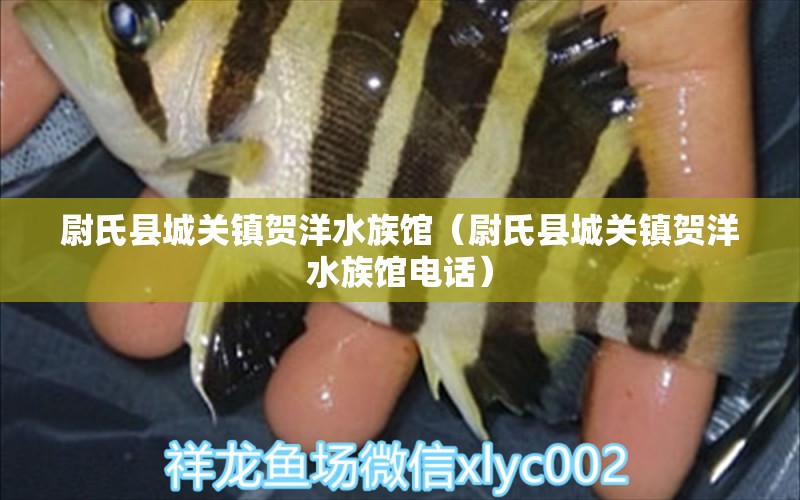 尉氏县城关镇贺洋水族馆（尉氏县城关镇贺洋水族馆电话）