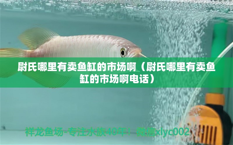 尉氏哪里有卖鱼缸的市场啊（尉氏哪里有卖鱼缸的市场啊电话）